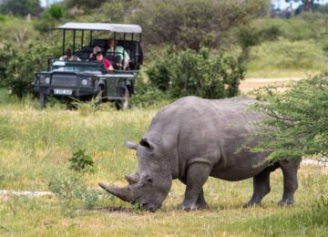 2 Mombo-Gamr-drive-Rhino-sighting