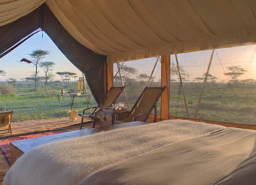 Serengeti-Guest-Room8.jpg