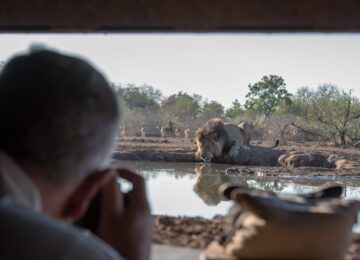 5 Photographing-lions-from-Mashatu-underground-hide