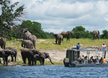 7 river-safari-chobe-zambezi-queen