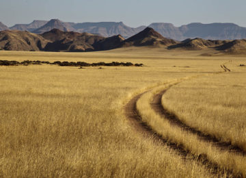 @Wilderness_Safaris_Namibia_Dramaraland_Feld