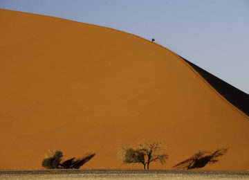 @Wilderness_Safaris_Namibia_Kulala_Desert_Lounge_Dana_Allen_Huegel