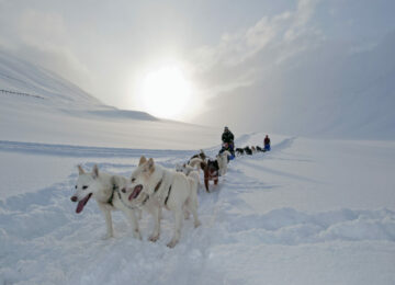 Basecamp-Spitsbergen-Dog-Sledging-Winter-121-1024×661
