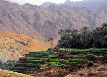 Berge-und-Oase©Ministry_of_Tourism_Sultanat_of_Oman