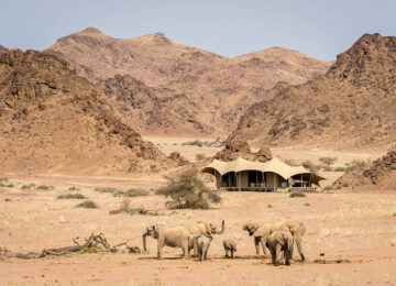 HoanibSkeletonCoastCamp_Namibia_Luxuscamp_Skelettküste_Elefanten©Wilderness-Safaris-Dana-Allen