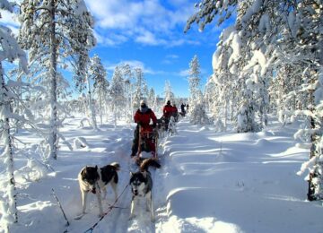 Huskysafari-Lappland