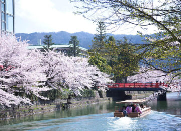 Kirschblüte-Fluss-©The-Ritz-Carlton-Kyoto