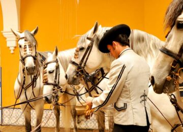 Königlich-Andalusische-Reitschule-Jerez-©-Royal-Andalusian-School-of-Equestrian-Art