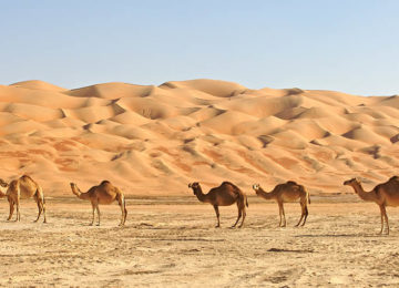 Wahiba-Desert©Ministry_of_Tourism_Sultanat_of_Oman2