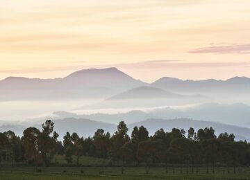 oogn-flora-fauna-sunrise-mountains-2