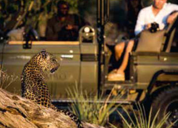 safari_okavango