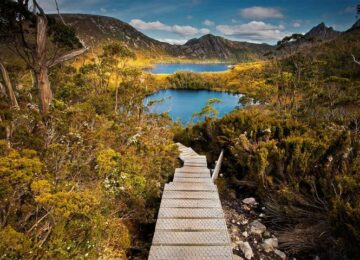 tasmanien natur