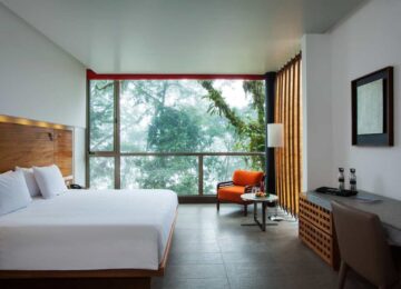 wayra-room-mashpi-lodge-1024×683
