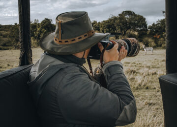 wildlife-photography-on-safari-guide-course-800×533-2