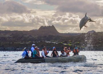 ©Yacht-Isabela-II-Panga-Ride-1-1024×560